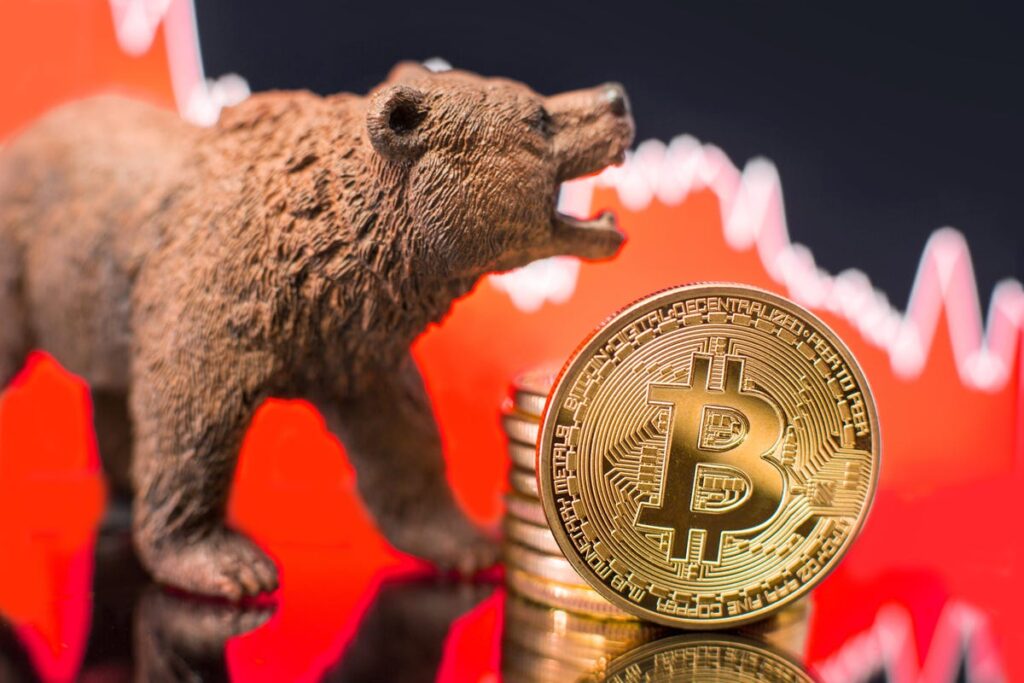The Worst Bitcoin Bear Markets Ever