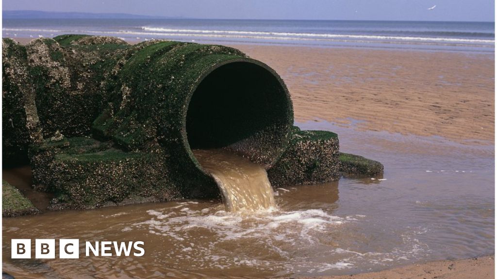 English beach sewage dumps not monitored properly, data shows – BBC News