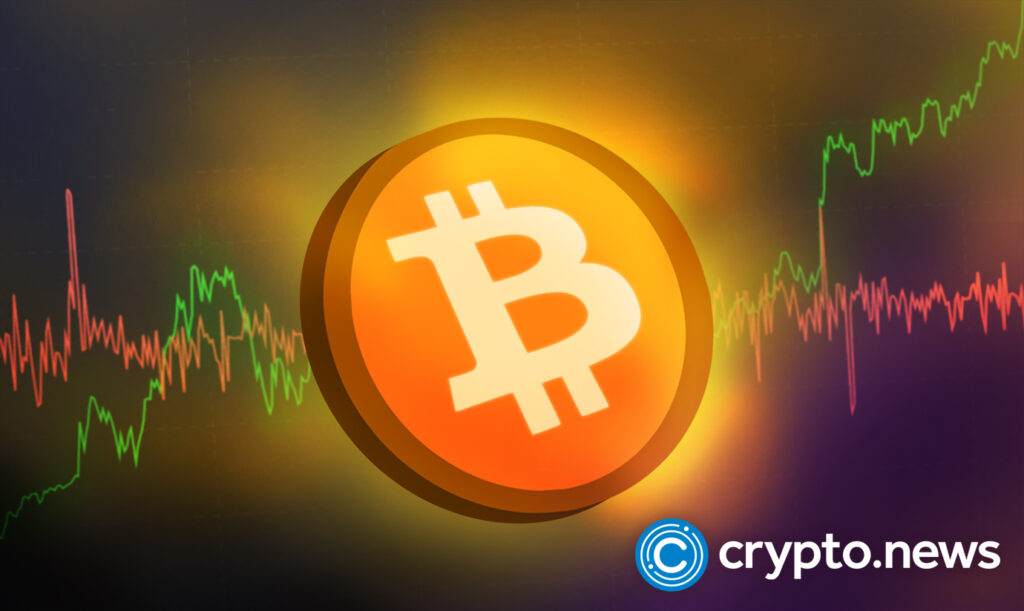 Bitcoin’s a Speculative Asset With No Utility Claims Crypto Fund CIO – crypto.news