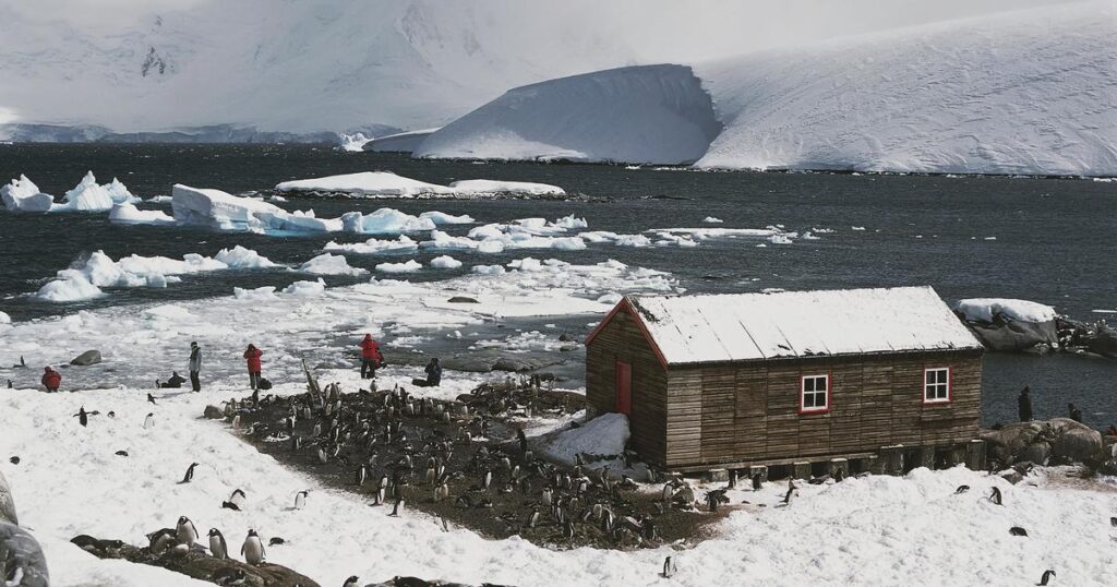 Four women have been selected to run the post office in Antarctica and count penguins – CBS News