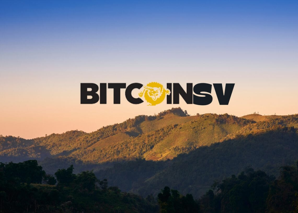 BSV Price Prediction 2022-2031: Will Bitcoin SV Hit $100 Soon?