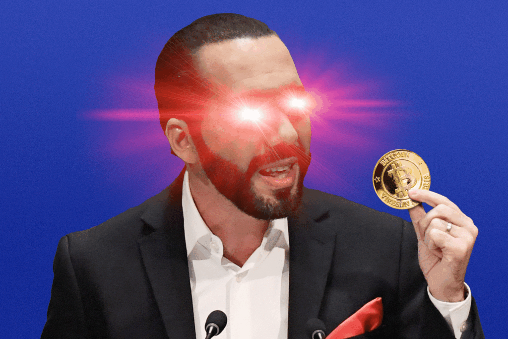 El Salvadors Bitcoin bet- Why Nayib Bukele went all-in on crypto.