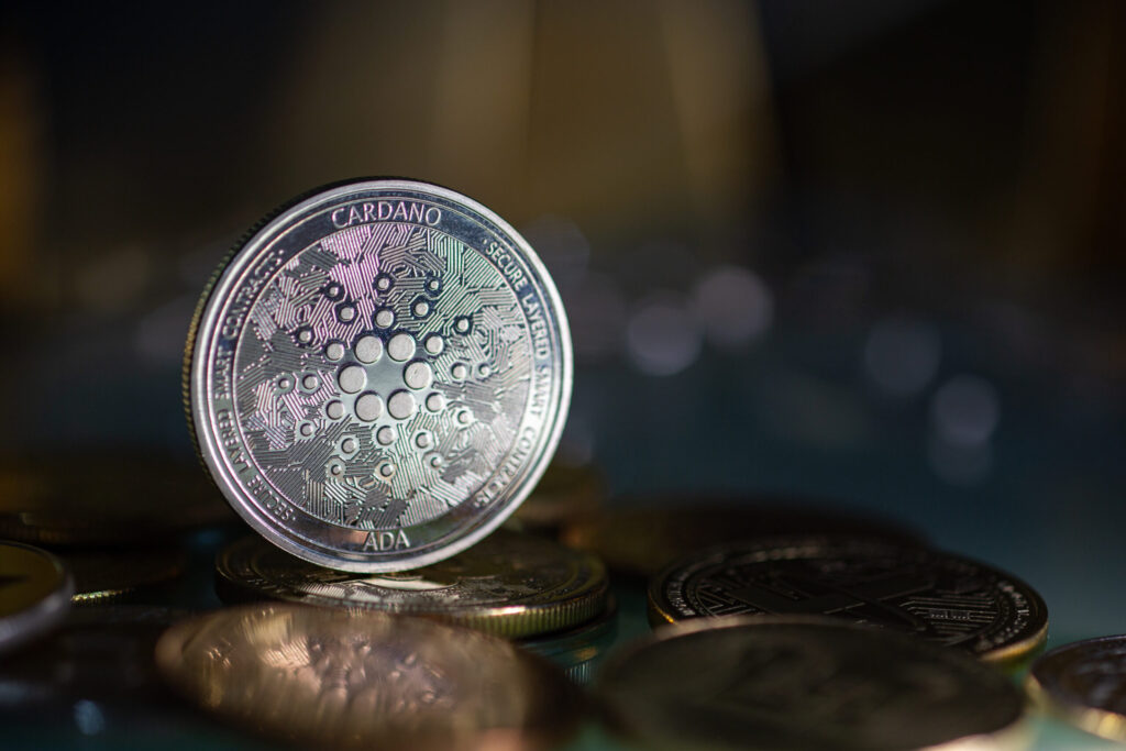 Adirize Token, Cardano and XRP – Three Cryptocurrencies to look out for amid the ongoing Bear Market – Euro Weekly News