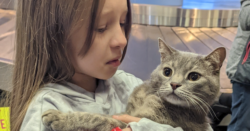 A 10-year-old girl was devastated to leave her cat behind when her family fled Ukraine. But they recently reunited in California. – CBS News
