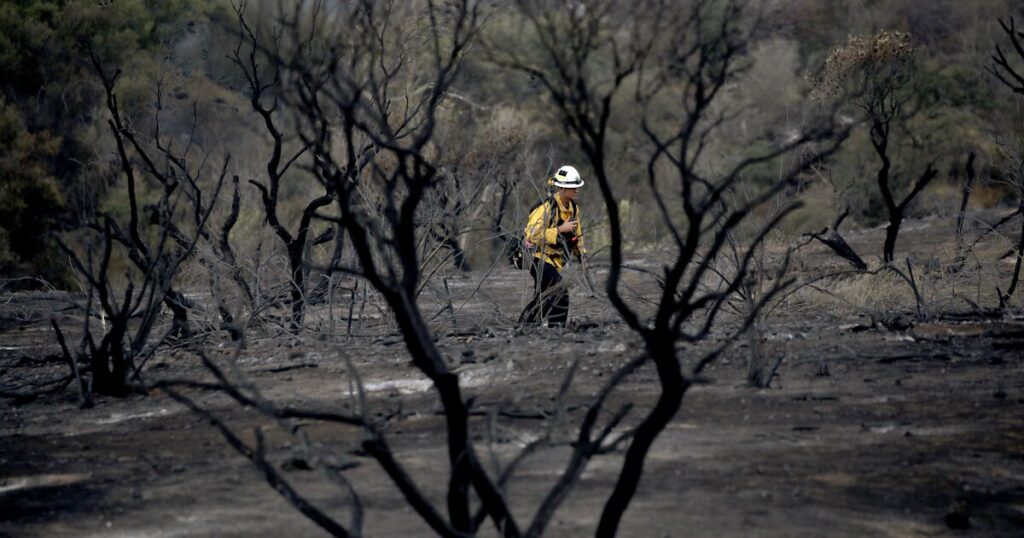 Climate change rapidly accelerating in California, report says – Los Angeles Times