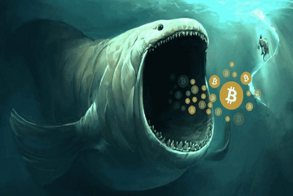 What are Crypto Whales? Can They Manipulate Crypto Markets?