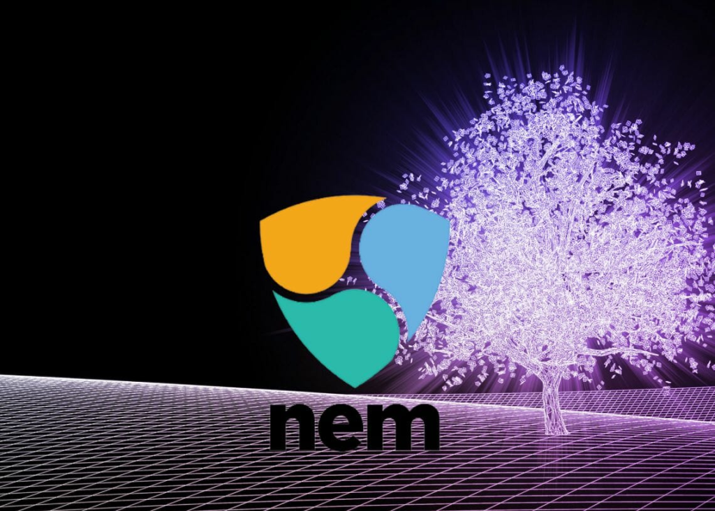 NEM Price Prediction 2022-2031: Is NEM a Good Investment?