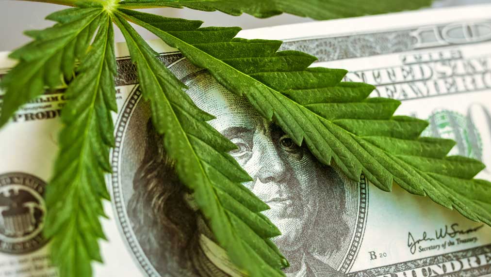 Marijuana Stocks To Buy And Watch