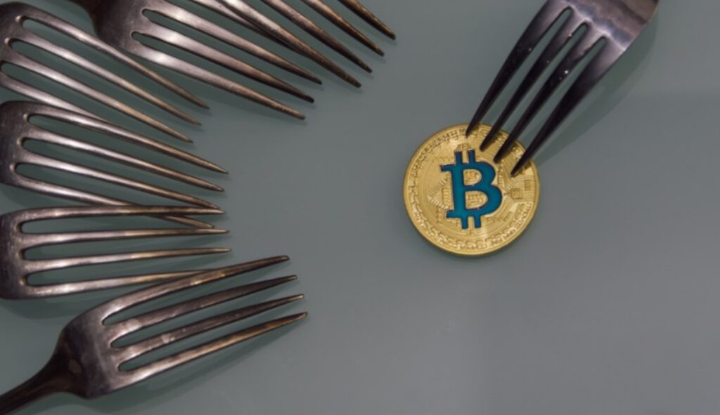 Crypto Hard Fork and Soft Fork – What Is the Difference?