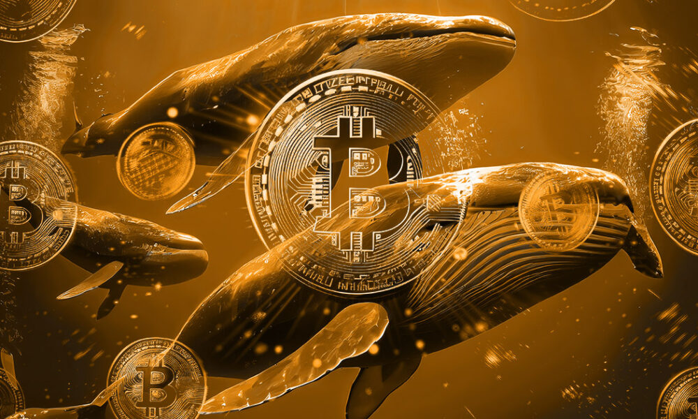 Bitcoin whales accumulate over 20k BTC in just two days – Btcminingvolt