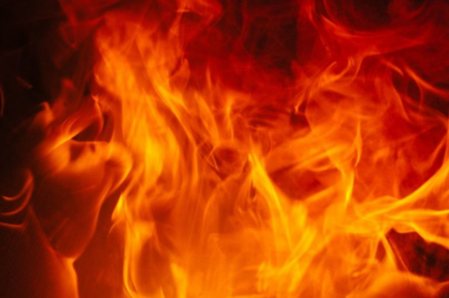 Shiba Inu Burn Rate Explodes 31,000%