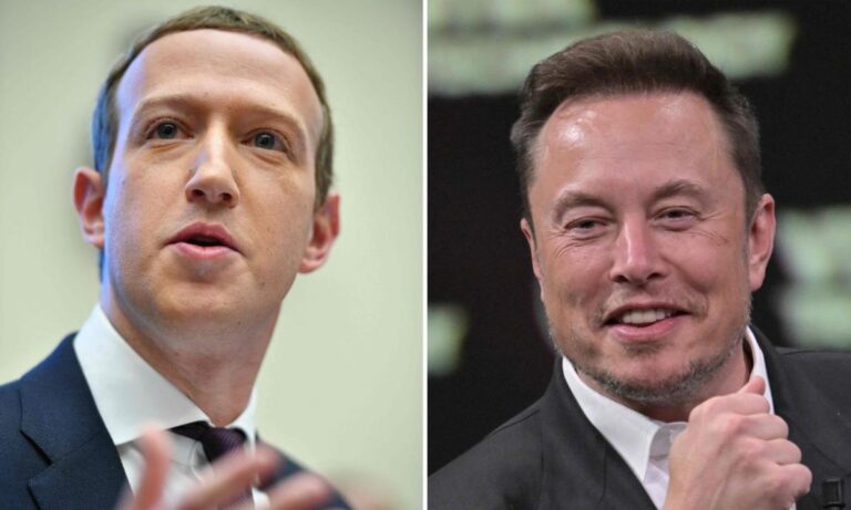 Mark Zuckerberg and Elon Musk say they’re up for a cage match. Who would win?