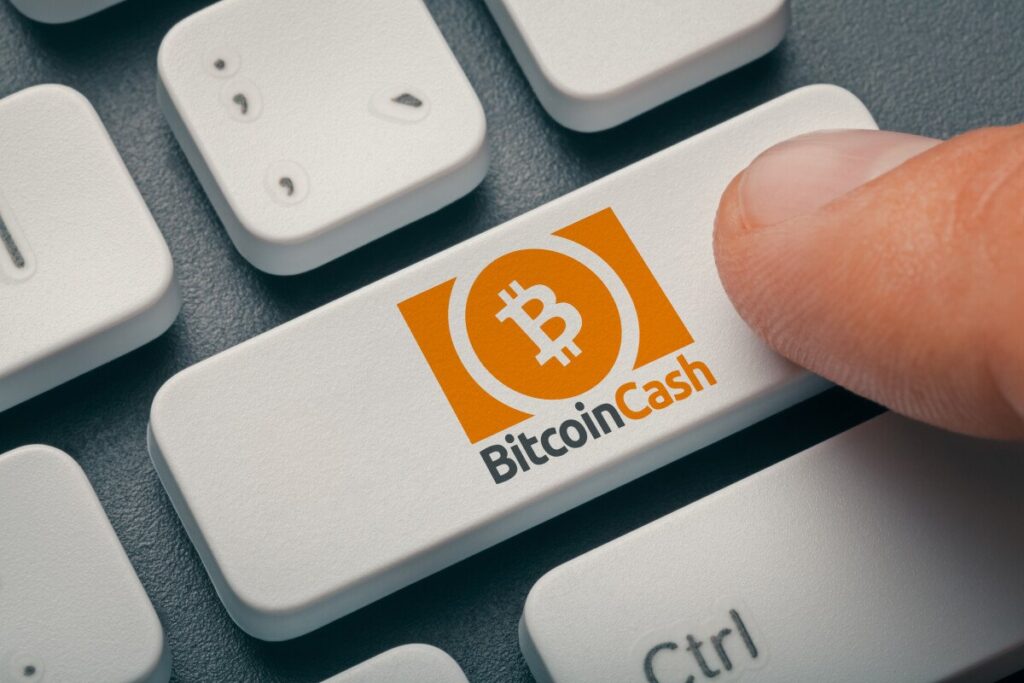 Is it Too Late to Buy Bitcoin Cash? BCH Price Pumps Up 50% While AI Crypto Signals Platform yPredict Raises $2.7 Million