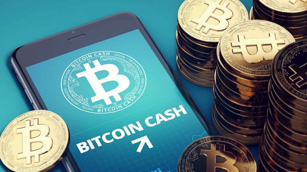 Bitcoin Cash (BCH) On an Upward Trend – What Does the Future Hold?