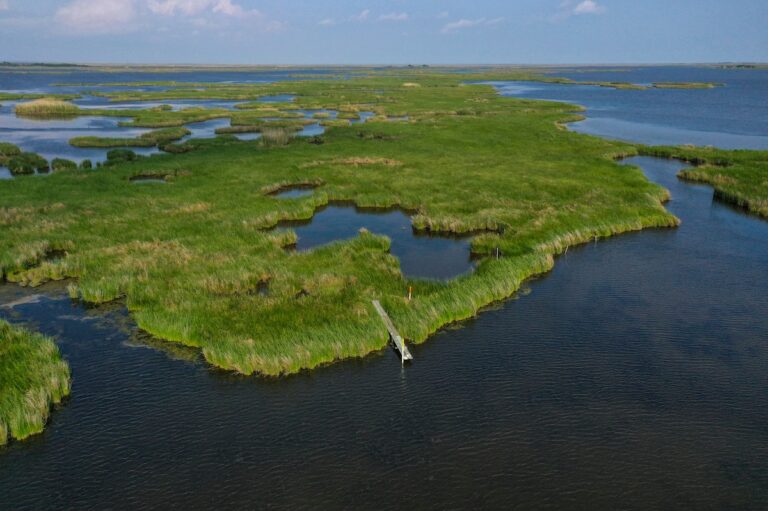 Louisiana’s sea level rises, taking swamps and hurricane protection with it