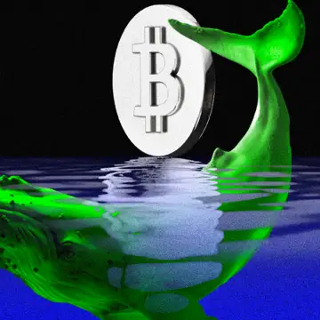 Will Whales Trigger Bitcoin (BTC) Price Rally Ahead of Fed Meeting?