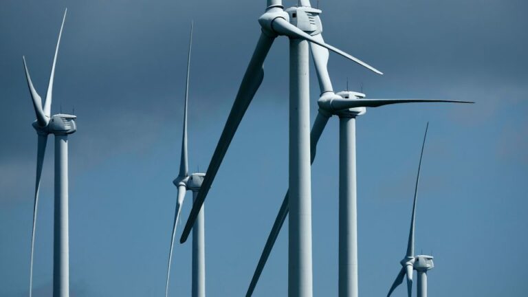 Rich, white communities most likely to oppose wind farms, study finds