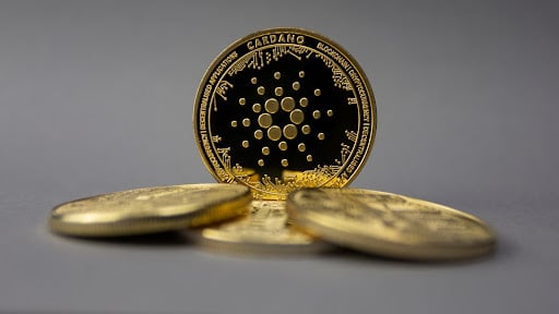 Cardano: ADA Will Replace BTC and ETH, QUBE To Outperform Them All?