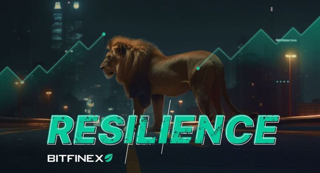 Bitfinex’s Resilience – A Key Player in Taming Crypto Market Volatility | CoinCodex