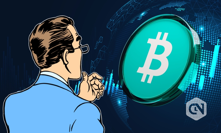 Bitcoin Cash halving in 2024: Are you ready to get rich?