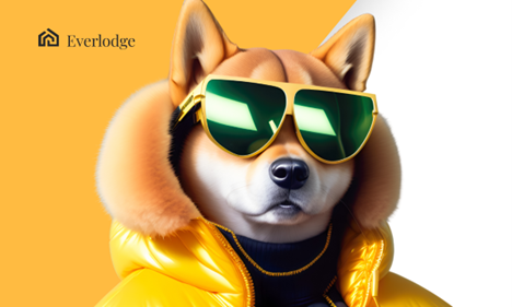 New Token Gains Attention With 100% Surge, Shiba Inu Burn Skyrockets, TRON Crosses 190m Accounts