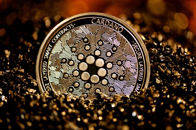 Cardano price suffers decline with rising whale activity, ADA holders remain optimistic