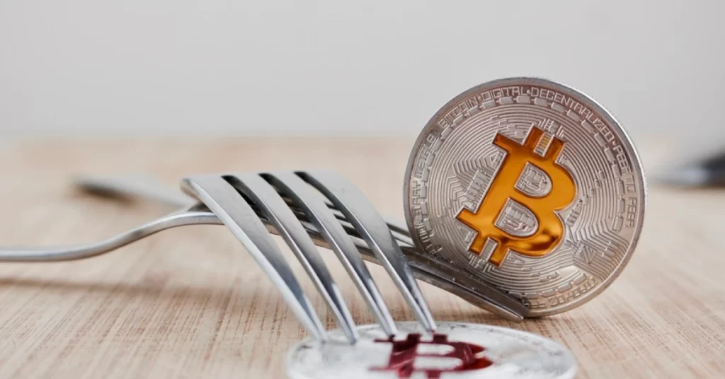 Explore The Future Of Bitcoin Forks: Bitcoin Spark And Bitcoin Cash