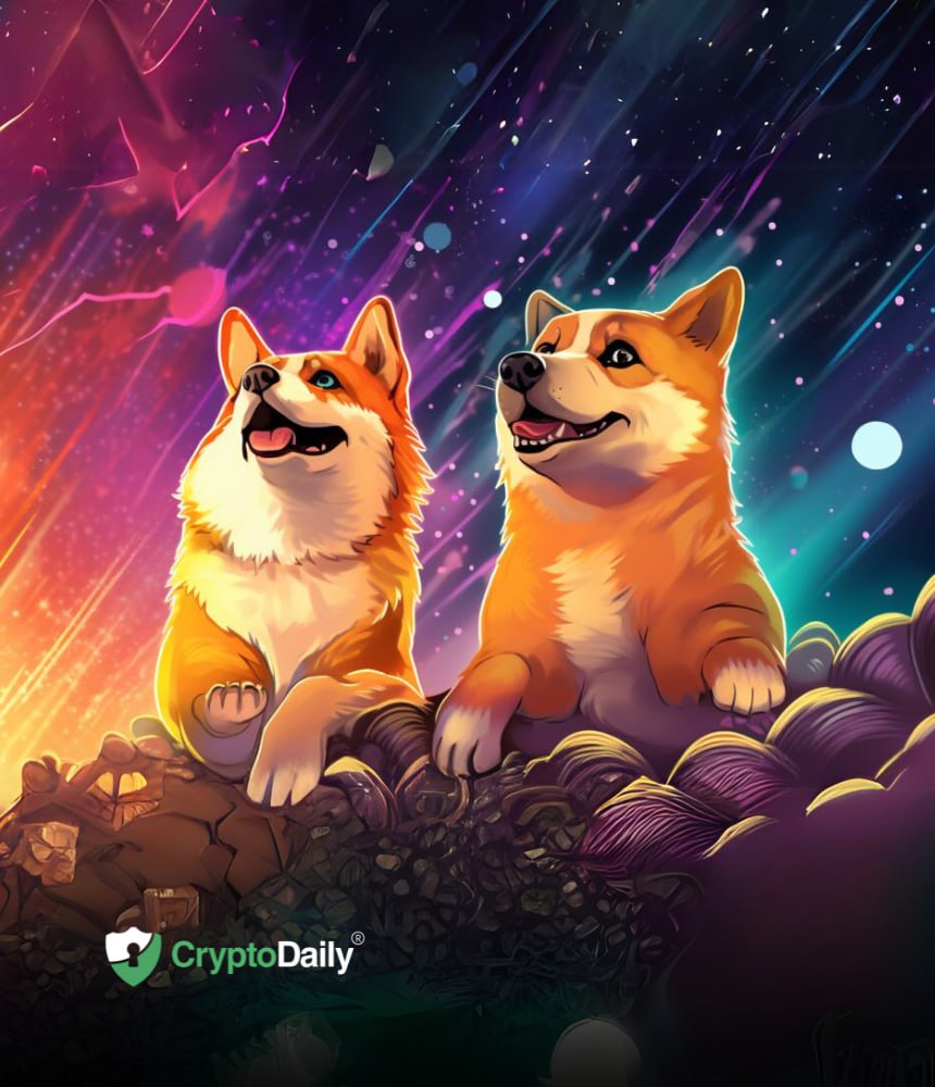 Will Dogecoin (DOGE) and Shiba Inu (SHIB) Surpass Expectations with a Pre-2024 Rally? – Crypto Daily