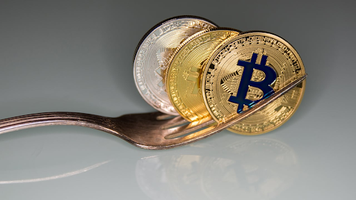 Elevate Your Portfolio By Holding Bitcoin Forks: BTCS, BCH, And BSV