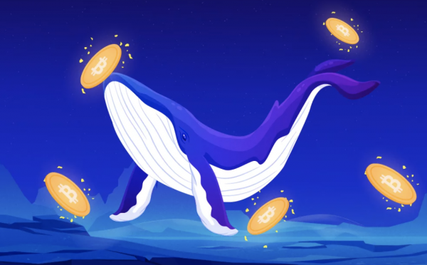 Crypto Whales Have Been Spotted Buying These 3 Altcoins