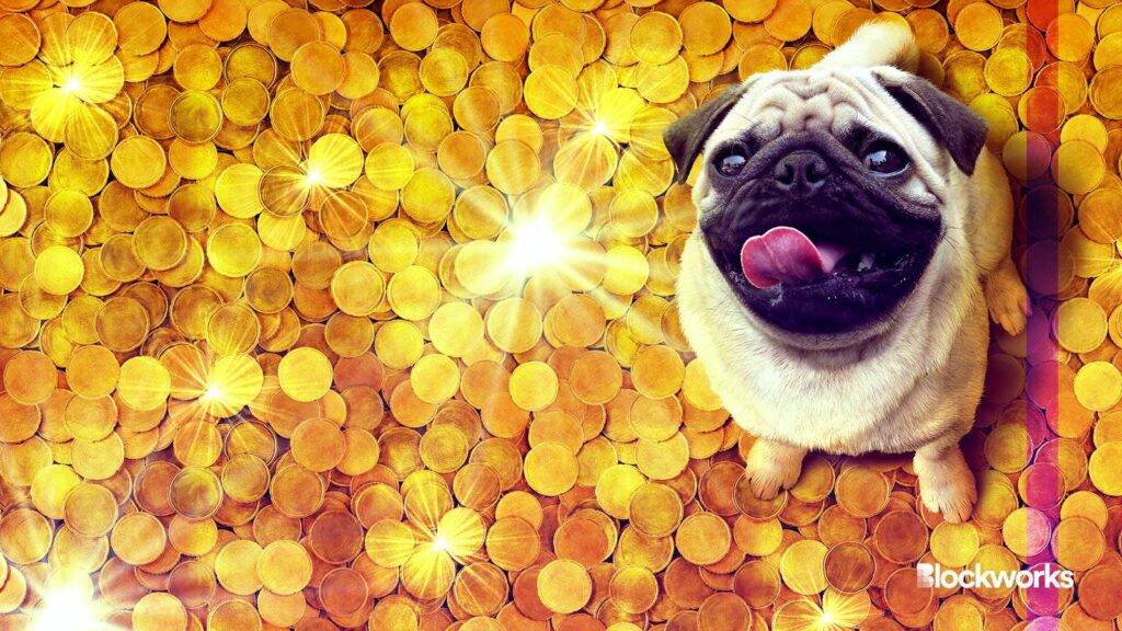 Dog coins are back: BONK leads Dogecoin, Floki and Shiba with 1400% rally – Blockworks