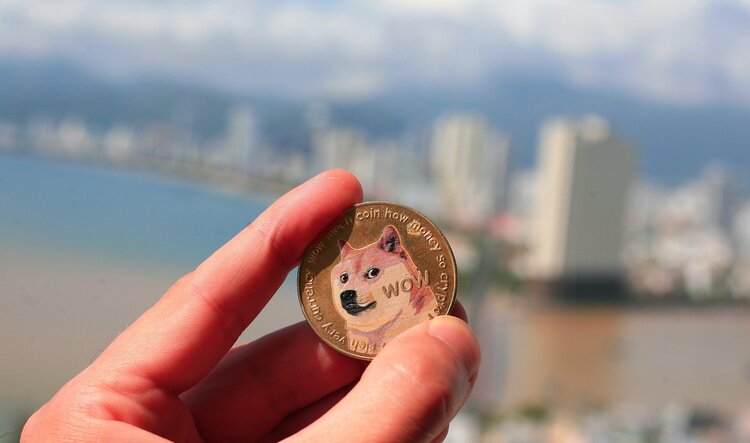 Dogecoin volume and social dominance hits 2024 peak as X launches dedicated payments account