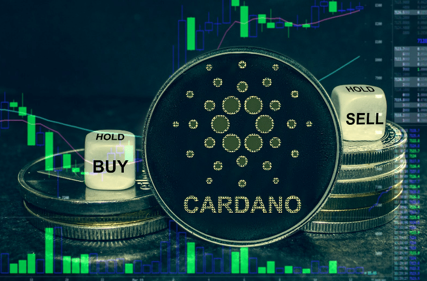 Whales Aggressively Buying Cardano; Potential 1,000% Growth Ahead for Polkadot and Borroe Finance