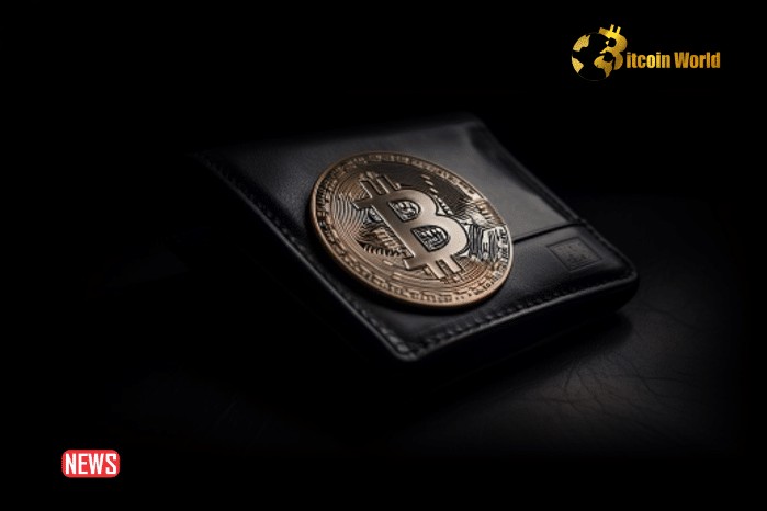 14 Years Dormant Bitcoin Wallet Recently Transferred 50 BTC